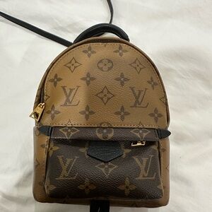 Louis Vuitton Palm Springs mini in reverse